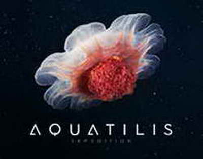 Balashixadagi migrantlarga qarshi reydda 49 kishi qo‘lga olindi